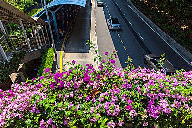 3DM速报：“生化8”还能拿Mac玩？iOS支持NS手柄